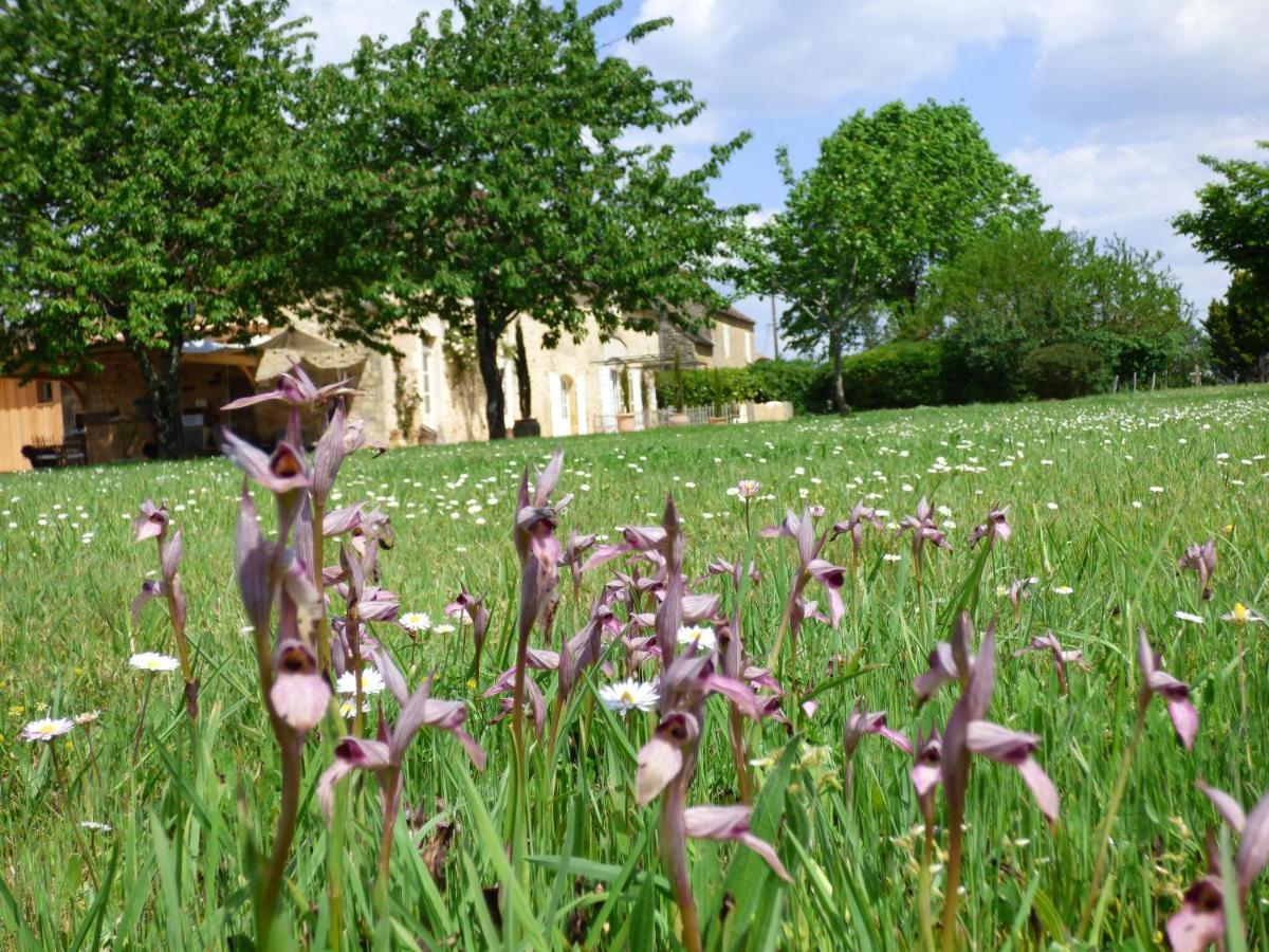 Britavit Bed & Breakfast Saint-Avit-Sénieur Dış mekan fotoğraf