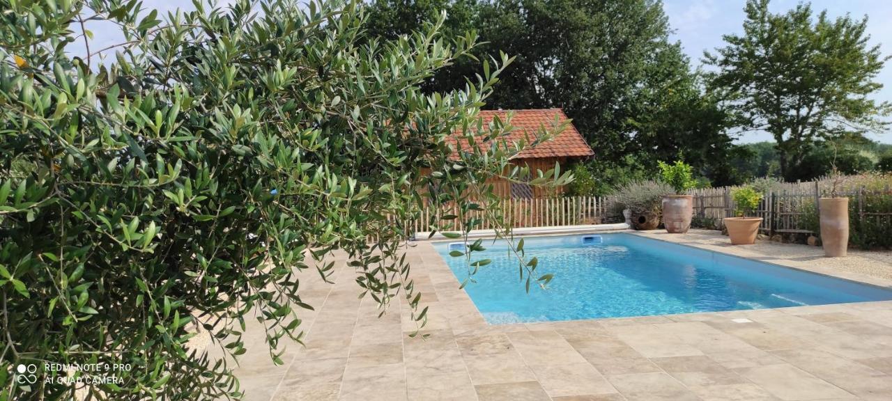Britavit Bed & Breakfast Saint-Avit-Sénieur Dış mekan fotoğraf