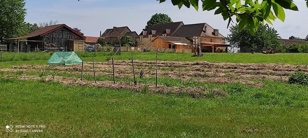 Britavit Bed & Breakfast Saint-Avit-Sénieur Dış mekan fotoğraf