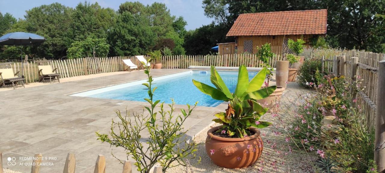 Britavit Bed & Breakfast Saint-Avit-Sénieur Dış mekan fotoğraf
